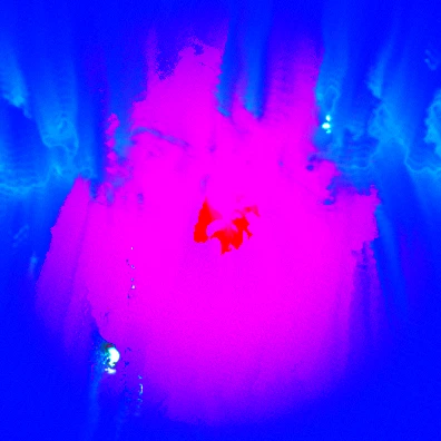 Acid Physarum Split thumbnail